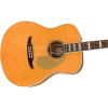 Fender Palomino Vintage AGN Aged Natural